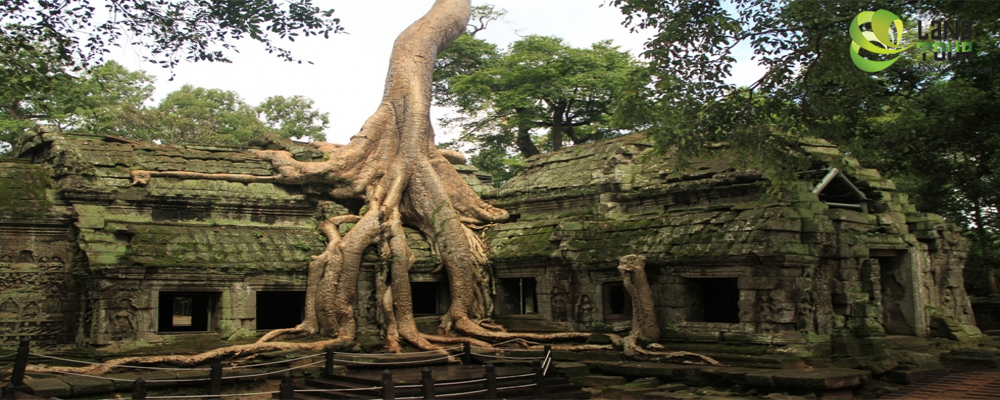 Aventure d’Angkor 